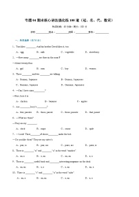 专题04 期末核心语法强化练100道（冠、名、代、数词）-2023-2024学年七年级英语上学期期末复习重难点突破（人教版）（原卷版）