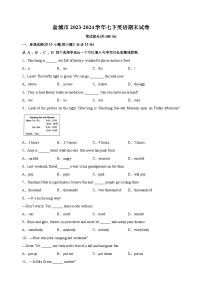 江苏省盐城市2023-2024学年七年级下学期期末英语试卷（含答案解析）