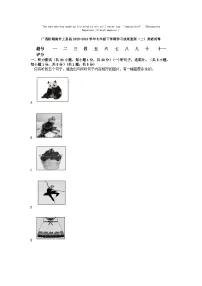 [英语]广西防城港市上思县2023-2024学年七年级下学期期末学习成果监测(二)试卷