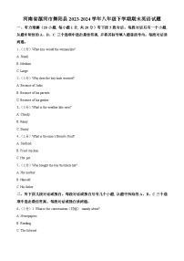 河南省漯河市舞阳县2023-2024学年八年级下学期期末考试英语试题 （解析版）