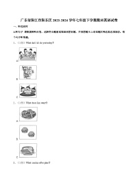 广东省阳江市阳东区2023-2024学年七年级下学期期末英语试卷（含答案）