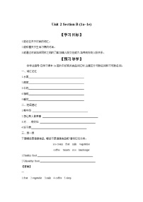 初中英语人教新目标 (Go for it) 版八年级上册Section B精品学案及答案