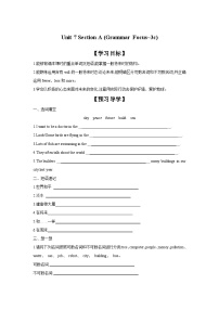 初中英语人教新目标 (Go for it) 版八年级上册Section A优质学案