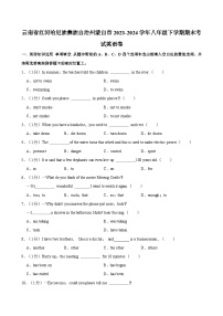 云南省红河哈尼族彝族自治州蒙自市2023-2024学年八年级下学期期末考试英语卷（含答案）