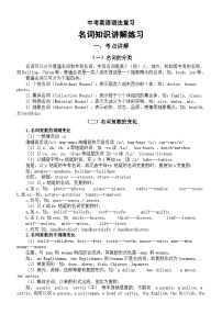 初中英语2025届中考语法复习名词知识讲解练习