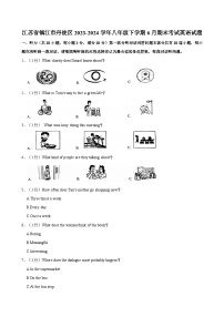 江苏省镇江市丹徒区2023-2024学年八年级下学期6月期末考试英语试题（含答案）