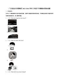 广东省汕头市澄海区2023-2024学年八年级下学期期末英语试题（含答案）