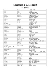 人教新目标 (Go for it) 版九年级全册Unit 10 You’re supposed to shake hands.综合与测试学案及答案