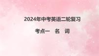 2024年中考英语二轮复习+考点一　名　词+课件