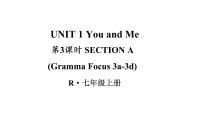 初中Section A集体备课ppt课件