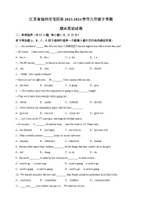 江苏省扬州市宝应县2023-2024学年八年级下学期期末英语试题（含答案解析）