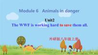 外研版 (新标准)八年级上册Unit 2 The WWF is working hard to save them all.练习题课件ppt