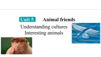 冀教版（2024）七年级上册（2024）Unit 5 Animal friends说课课件ppt