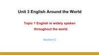 初中英语仁爱科普版九年级上册Topic 1 English is widely spoken around the world.公开课ppt课件