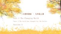 初中英语仁爱科普版（2024）九年级上册Topic 3 The world has changed for the better.一等奖课件ppt