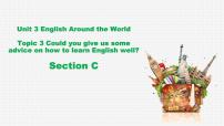 初中仁爱科普版（2024）Unit 3 English around the WorldTopic 3  Could you give us some advice on how to leran E