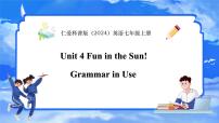 仁爱科普版（2024）七年级上册（2024）Unit 4 Fun in the Sun !教学课件ppt