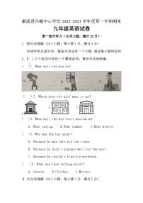 2023-2024学年安徽省淮北市濉溪县孙疃中心学校九年级（上）期末英语试卷