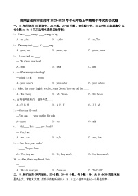 湖南省岳阳市临湘市2023-2024学年七年级上学期期中考试英语试题