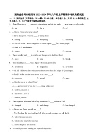 湖南省岳阳市临湘市2023-2024学年九年级上学期期中考试英语试题