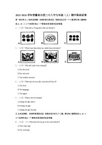 2023-2024学年安徽省合肥三十八中九年级（上）期中英语试卷