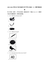 2023-2024学年辽宁省大连市甘井子区七年级（上）期中英语试卷