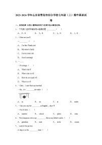 2023-2024学年山东省青岛市部分学校七年级（上）期中英语试卷