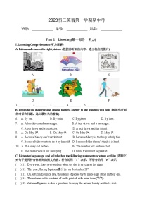 上海浦东新区2023-2024学年九年级上学期期中考试英语试题