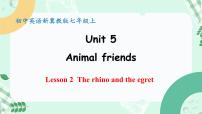 初中英语Lesson 2 The rhino and the egret完整版课件ppt