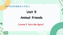 初中英语冀教版（2024）七年级上册（2024）Lesson 5 Save the tigers!完美版课件ppt