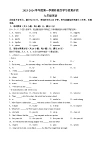 甘肃省陇南市武都区2023-2024学年九年级上学期期中英语试题