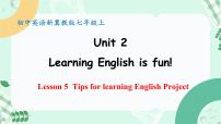 初中英语冀教版（2024）七年级上册（2024）Lesson 5 Tips for learning English备课ppt课件