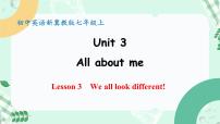 冀教版（2024）七年级上册（2024）Lesson 3 We all look different!教学ppt课件