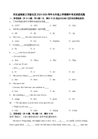 河北省张家口市宣化区2023-2024学年七年级上学期期中考试英语试题