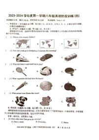 2023-2024学年广东省湛江市廉江市良垌三中八年级（上）第四次月考英语试卷