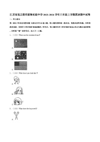 江苏省连云港市新海初级中学2023-2024学年八年级上学期英语期中试卷（含答案）