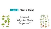 冀教版（2024）八年级下册Lesson 8 Why Are Plants Important?精品课件ppt