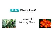 冀教版（2024）八年级下册Lesson 11 Amazing Plants精品课件ppt