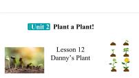 冀教版（2024）八年级下册Lesson 12 Danny's Plant完美版ppt课件