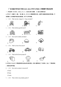 广东省惠州市知行学校2023-2024学年九年级上学期期中英语试卷（含答案）