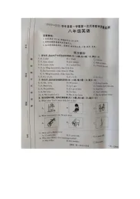 河北省保定市高碑店市2024-2025学年八年级上学期10月月考英语试题