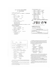 河南省漯河市郾城区2024-2025学年八年级上学期第一次月考英语试卷