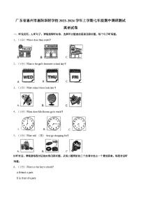 广东省惠州市惠阳华附学校2023-2024学年上学期七年级期中调研测试英语试卷（含答案）