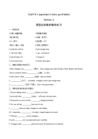 初中英语鲁教版（五四学制）（2024）九年级全册Section A当堂达标检测题