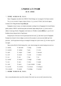 山东省聊城市东阿县第三中学2024-2025学年九年级上学期10月月考英语试题