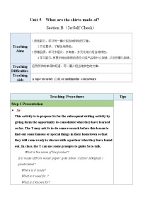 初中英语Section B教案设计