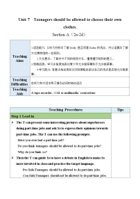 初中英语人教版（2024）九年级全册Section A教学设计