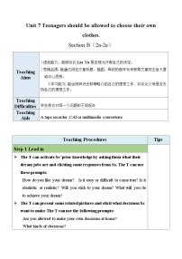 人教版（2024）九年级全册Section B教案