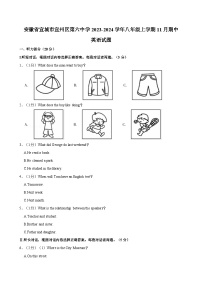 安徽省宣城市宣州区第六中学2023-2024学年八年级上学期11月期中英语试题（含答案）