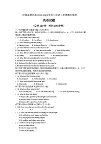 河南省南阳市唐河县教育体育局2024-2025学年九年级上学期10月期中考试英语试题